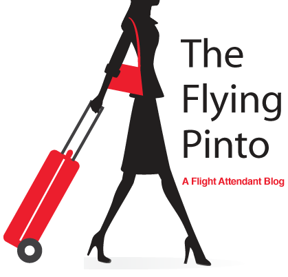 Pipocologia: The Flight Attendant